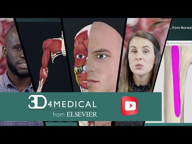 Welcome to the Complete Anatomy Youtube Channel!