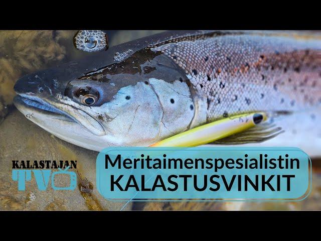 Meritaimenspesialistin kalastusvinkit | Kalastajan TV