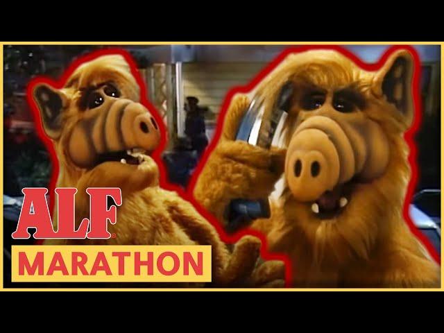 ALF in Danger  ALF | FULL Episode Marathon