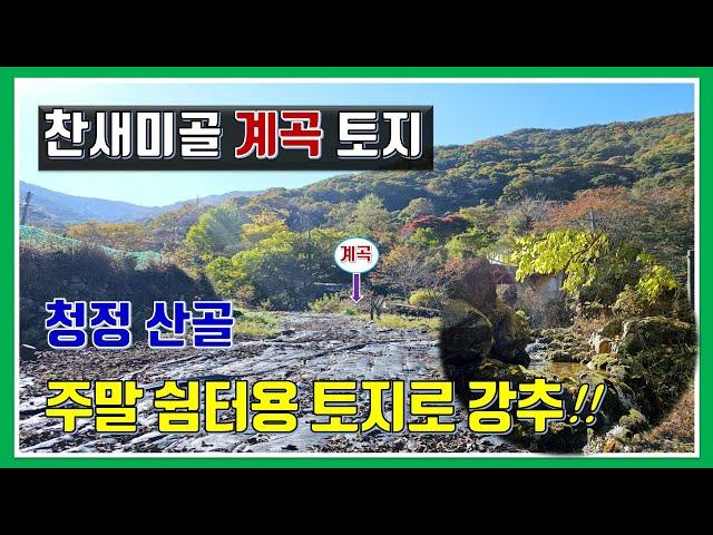 밀양 토지 매매-매물975번(찬새미골 계곡 토지.  청정지역 최고의 힐링 쉼터. 농막,체류형 쉼터,전원주택 모두 가능)