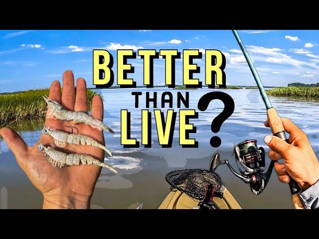 How to use shrimp lure: inshore saltwater kayak fishing Charleston SC