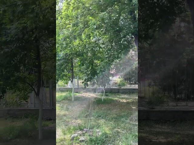 Какая школа? #тараз #жамбыл