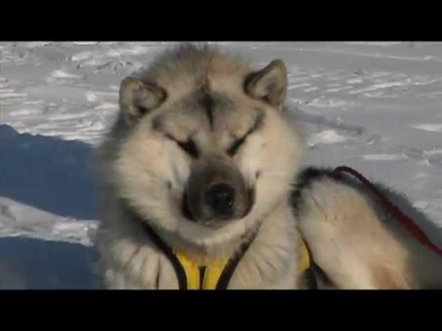 Puvirnituq Snow Festival Vignette - Adventures North