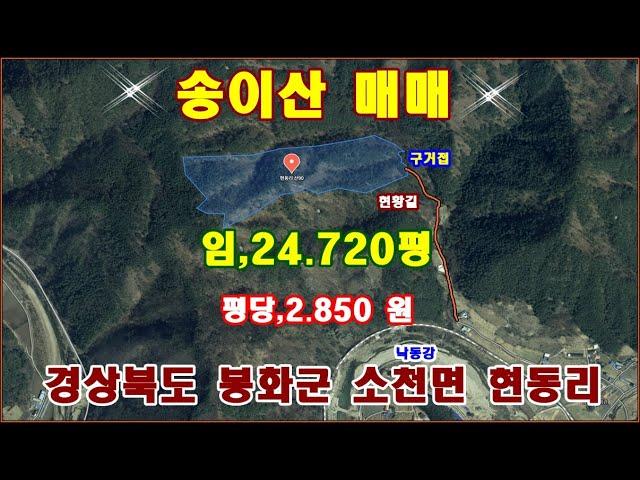 물번,423번)  송이산 임야,24.720평 평당,2.850원에 매매합니다, 농림지역,임업용산지, 이부 지적도상의 도접하나 현황길 있으며 구거 물 맑은 계곡도 접하고 있습니다 .