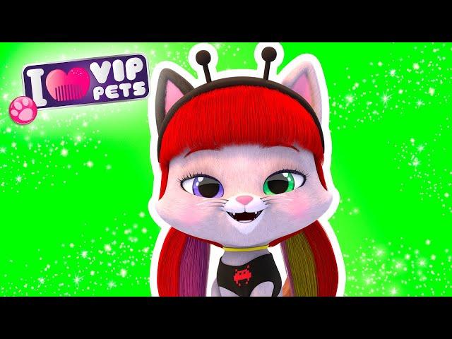 Unleash the Glamour: Elektra Style | V.I.P. by VIP Pets in English | Cartoons for Kids Music & Songs