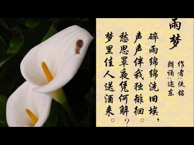 合诵：生活即景七绝  (7首) 作者：佚铭