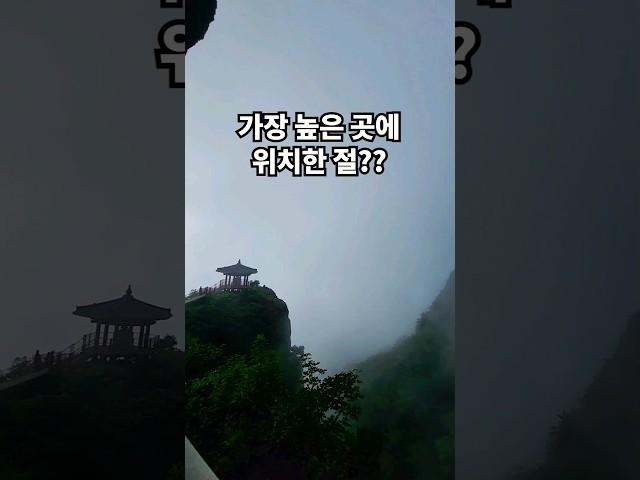 팔색조의 매력을 가진 산