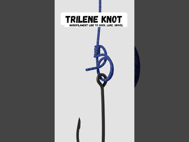 Trilene Knot - Tie Line to Hook Lure or Swivel #fishing #knot #fishingtips