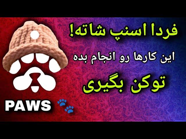 اسنپ شات paws اگر این کارو نکنی توکن نمی‌گیری | تاریخ اسنپ شات پاوز