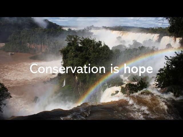 Conservation Is...