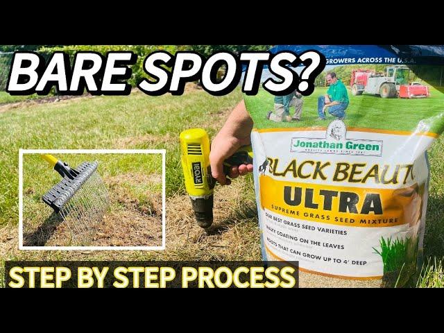 Filling Bare Spots with Jonathan Green Grass Seed | Step by Step Process