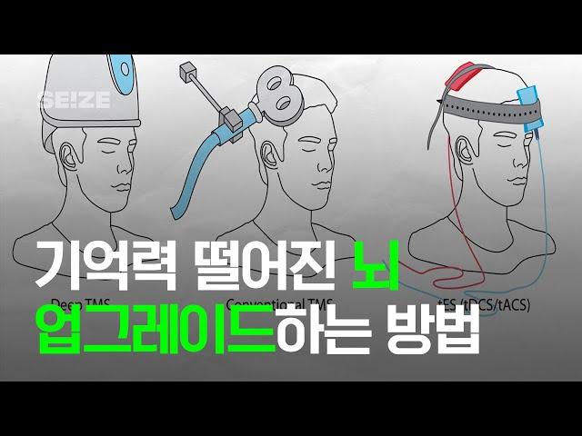 뇌 인류의 미래를 스위스에서 보고 왔습니다