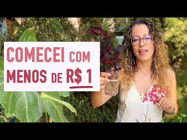 MILAGRE da MULTIPLICAÇÃO: os SEGREDOS da JARDINAGEM que FUNCIONAM