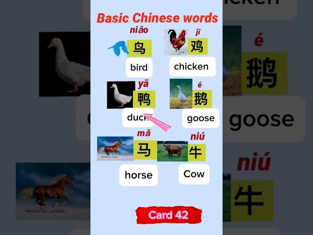 basic Chinese words 42- #chineselanguage#studywithme #mandarin #students #study