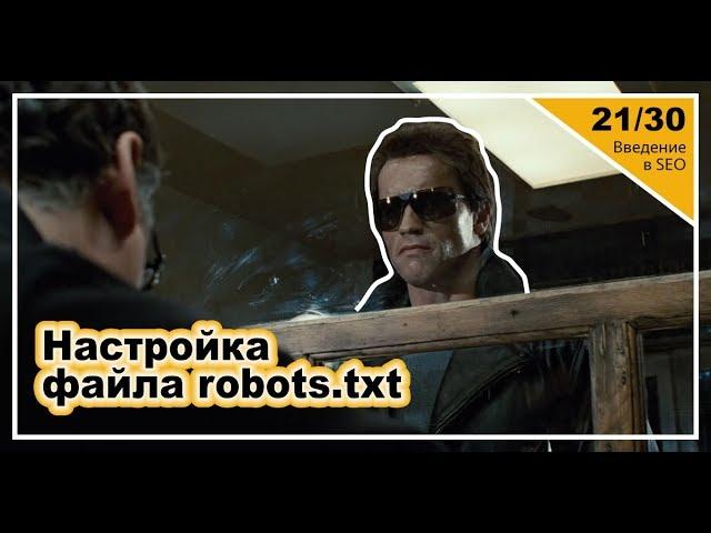 Урок 21: Настройка файла robots.txt. Введение в SEO