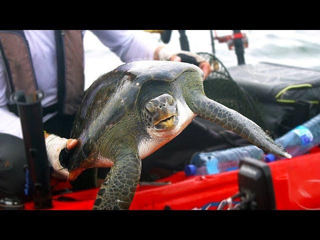 WE CAUGHT A SEA TURTLE | Field Trips with Robert Field