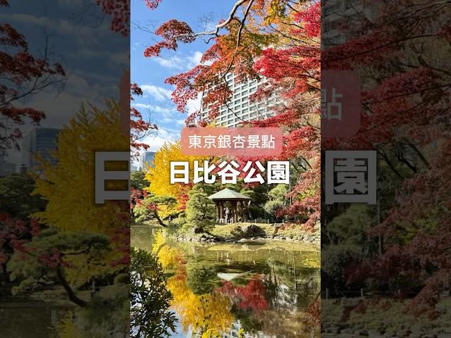 2024東京銀杏景點*日比谷公園