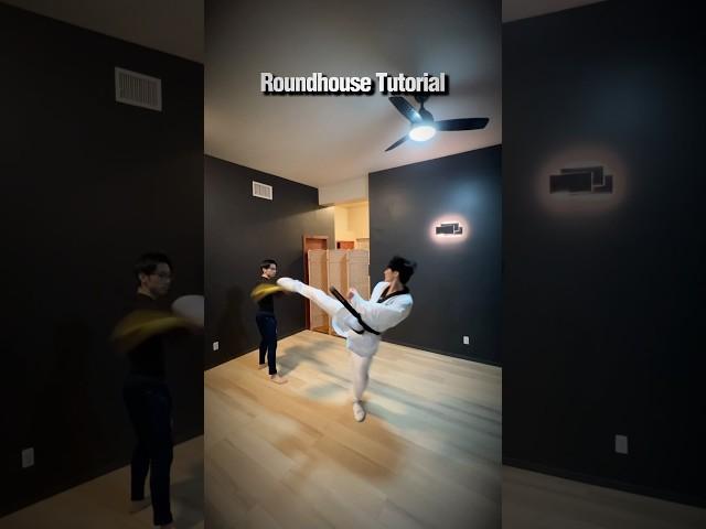 Taekwondo Roundhouse Kick Tutorial