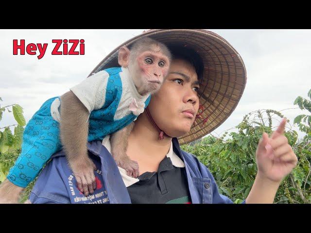 Full Video | Dad And Monkey SinSin Face Tribulations While Finding ZiZi