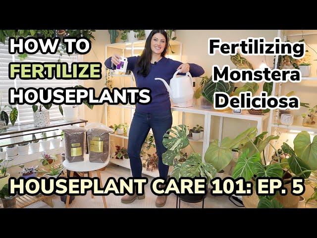 Houseplant Care 101: How To Fertilize Houseplants - Monstera Deliciosa Care & Fertilizing - Ep. 5