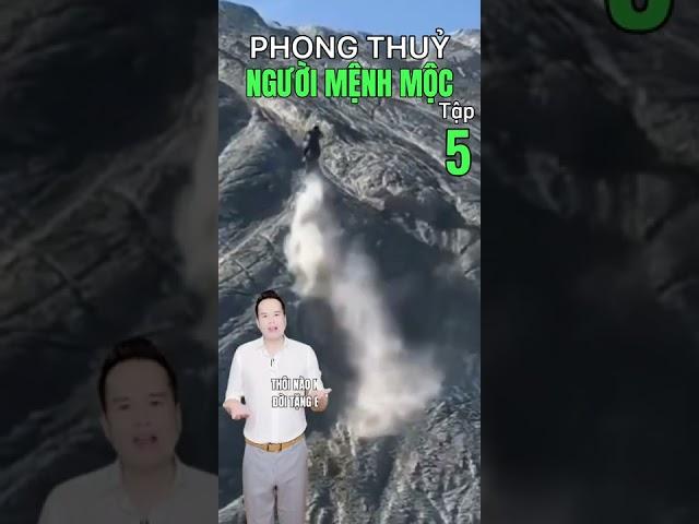 #tuviphuongdong TỬ VI PHONG THUỶ: NGƯỜI MỆNH MỘC - Tập 5 - Dương Liễu Mộc, Đại Lâm Mộc , Thạch Lựu
