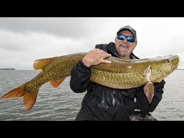 Canadian Giant Muskie Fishing!