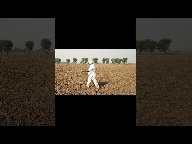 DAP Application  | AgriFarm Vlog | #shorts #ytshorts