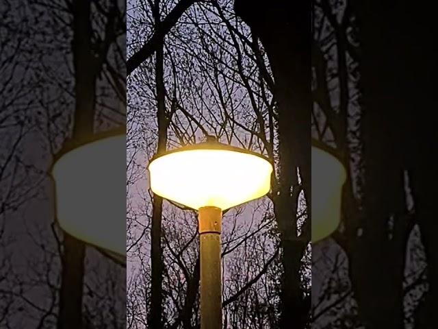 Vintage Fluorecent Streetlight On A Very Old Pole! (Bonus Video!)