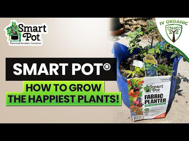 Pick The BEST Pot For Your Plants | @SmartPots Demonstration