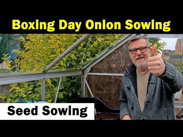 Traditional Boxing Day Sowing | Sowing Onions | Sowing Basics | Green Side Up