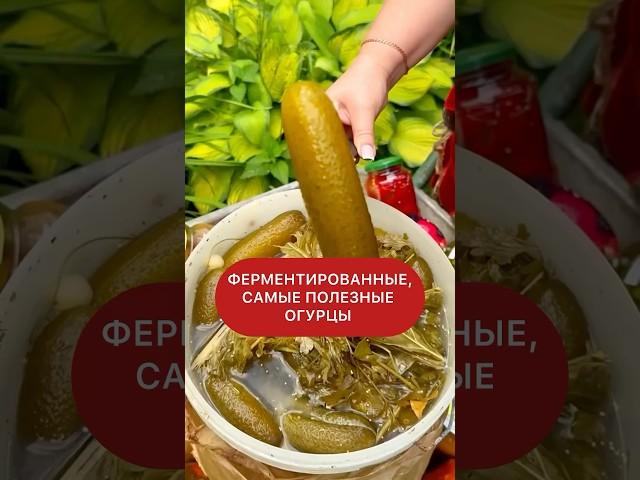 Ферментированные , квашеные огурцы