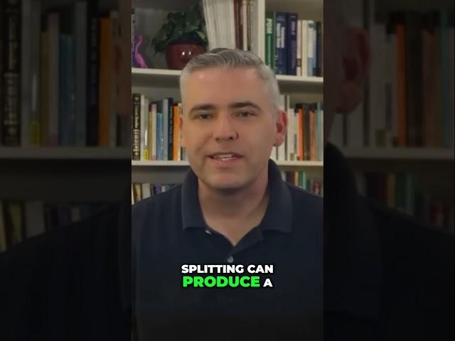 Borderline Personality Organization: Understanding Blame-Shifting and Splitting