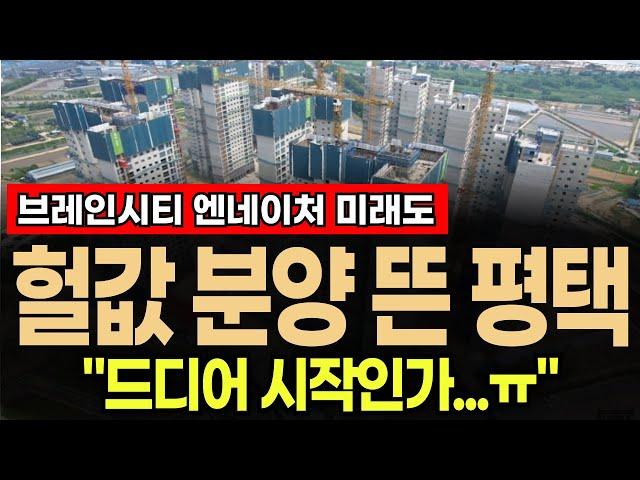 🟥평택 브레인시티 앤네이처 미래도 "분양가가 이럴 줄은…"