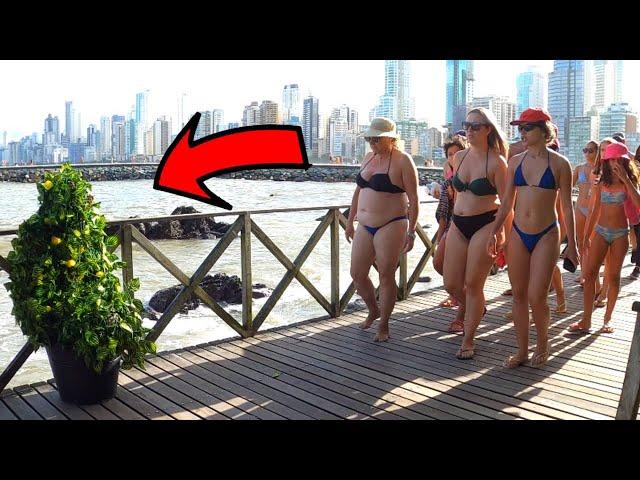 BEST SCARES OF BUSHMAN PRANK 2024 ON THE BEACH INSANE SCREAMS! CRAZY MOMENTS!  HILARIOUS REACTIONS