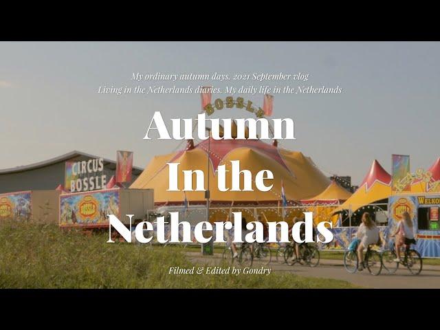 Autumn in the Netherlands vlog / The first circus in my life , Fig season, Squid Game, Picnic