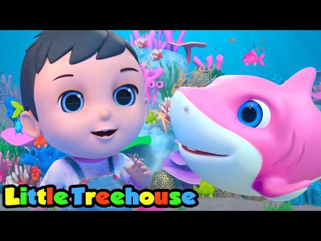 Tubarão bebê | Musica infantil portuguesa | Educação | Little Treehouse | Desenhos animado