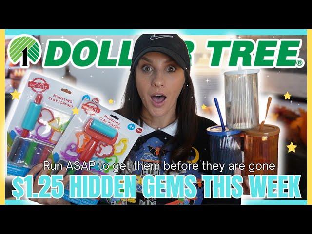 63 ITEMS for $78.75 *DOLLAR TREE HAUL* THE BEST BRAND NEW ARRIVALS THIS WEEK OMG