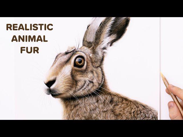 How To Draw Realistic Animal Fur (Hare) - Pastel Art Tutorial BEGINNERS 4K