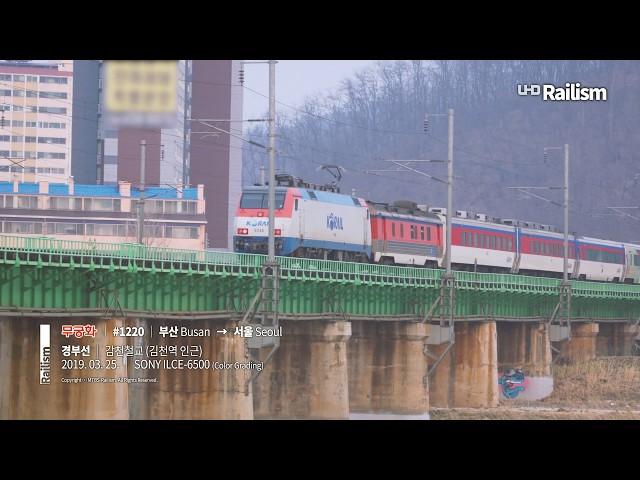 신호등.. 신호등!!!!  - 김천역 감천철교