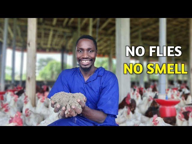 NO SMELL Chicken House | How often should you change the Litter?