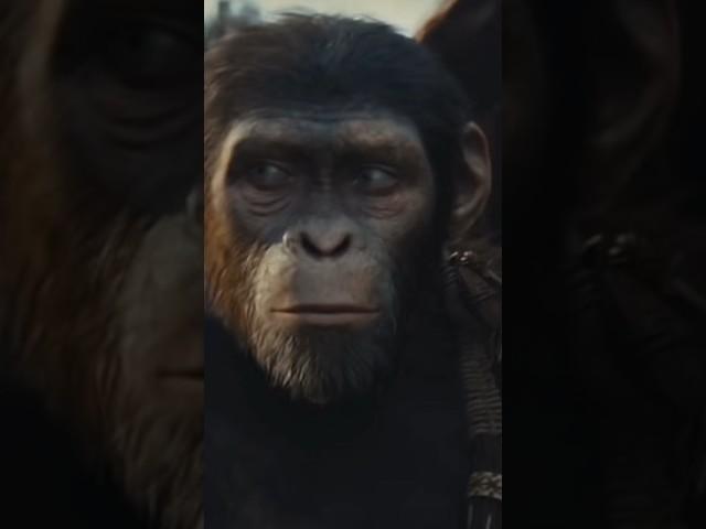 Kingdom official trailer *Movie