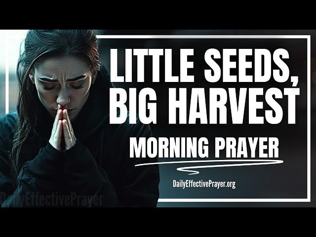 Stay Faithful in the Small—God’s About to Surprise You with BIG | Blessed Morning Prayer For Today