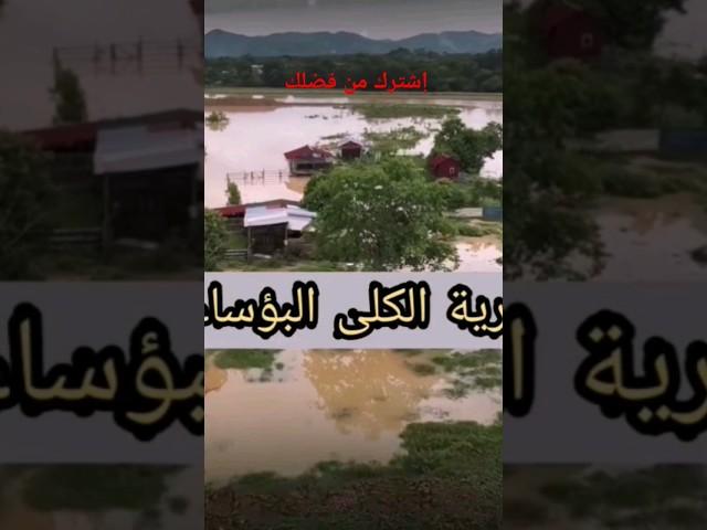 قرية الكلى البائسة. #روايات #غريب #غموض #معلومات #المعرفة #القرين #رمضان #أرض_زيكولا #المتابعون #خوف