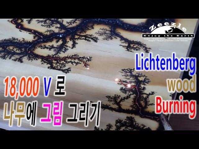 [제작] 18,000V로 그림 그린다! 리히텐베르크 작품 만들기 [Lichtenberg Wood]