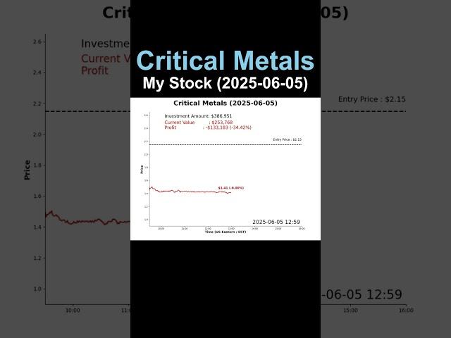 Stock Holdings - Critical Metals (2025-06-05)