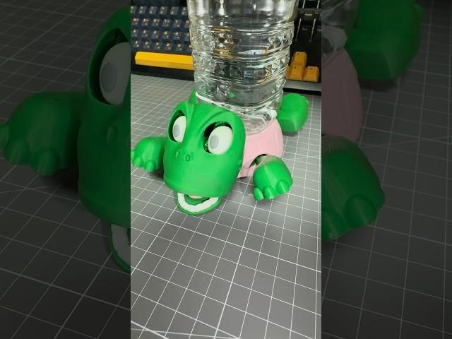 Funny Turtle Coaster
