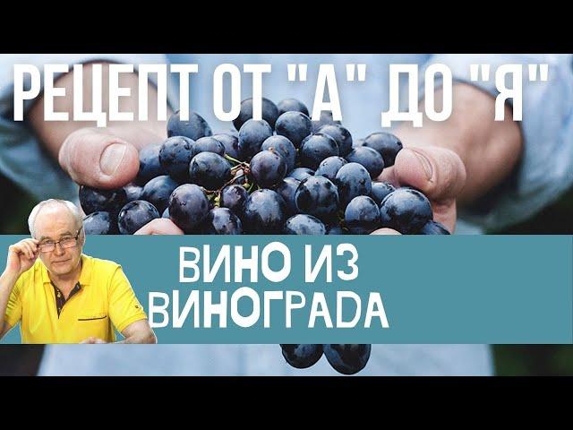 Вино из винограда. Виноградное вино за 7 шагов. Простой рецепт для новичков. / Домашнее вино.