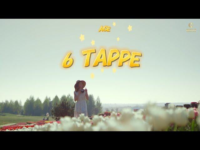 6 TAPPE - Ace | Kaler Habib | Official Lyrics Video | Latest Romantic Punjabi Song 2024