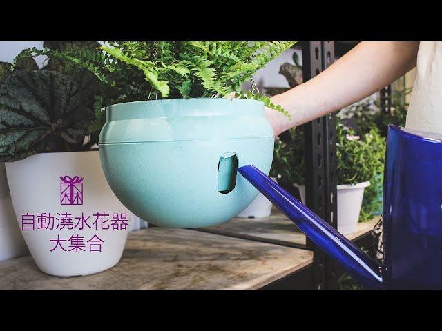 自動澆水花器大集合｜免澆水花盆｜放心出遊｜輕鬆成為綠手指｜小朋友也適合｜森林有塊田