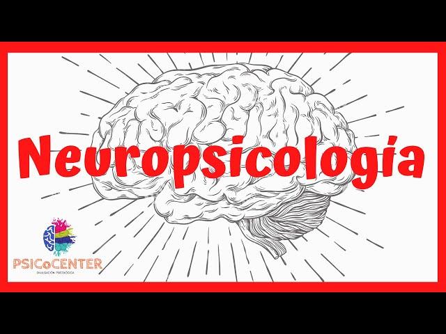 NEUROPSICOLOGÍA, ¿Qué es?, ¿Cuáles son sus ámbitos de acción y competencias?